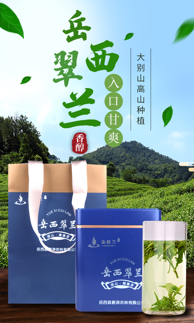 岳西翠兰（口粮茶）Ⅲ级